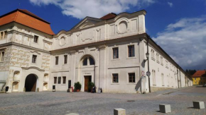 Отель Hotel a hostel Zámecký pivovar Litomyšl  Литомышль